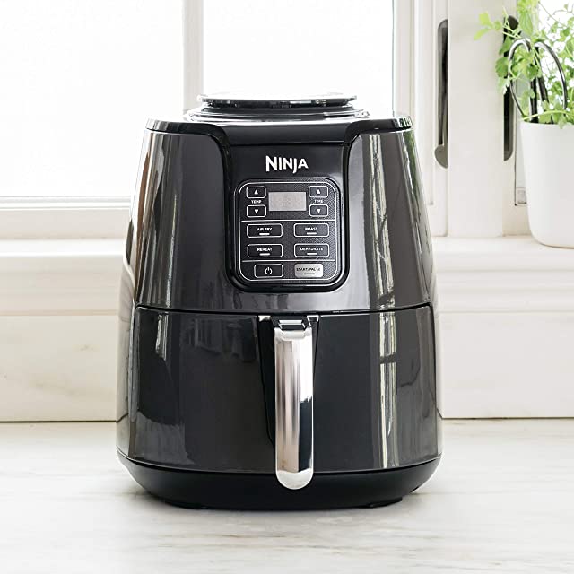 Ninja Air Fryer AF101